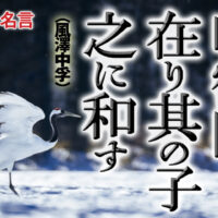 鳴鶴陰に在り風澤中孚