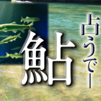 魚へんに占うで鮎