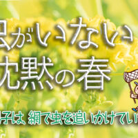 みつばち易占コラム