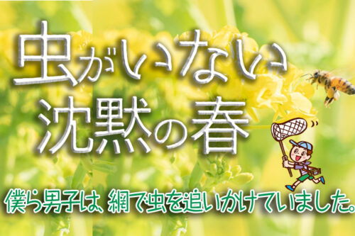 みつばち易占コラム