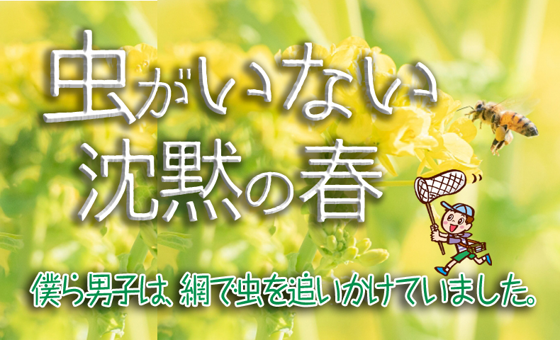 みつばち易占コラム