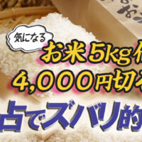 易占い米相場４０００円切るか
