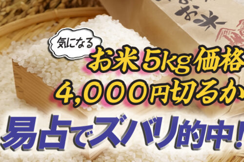 易占い米相場４０００円切るか